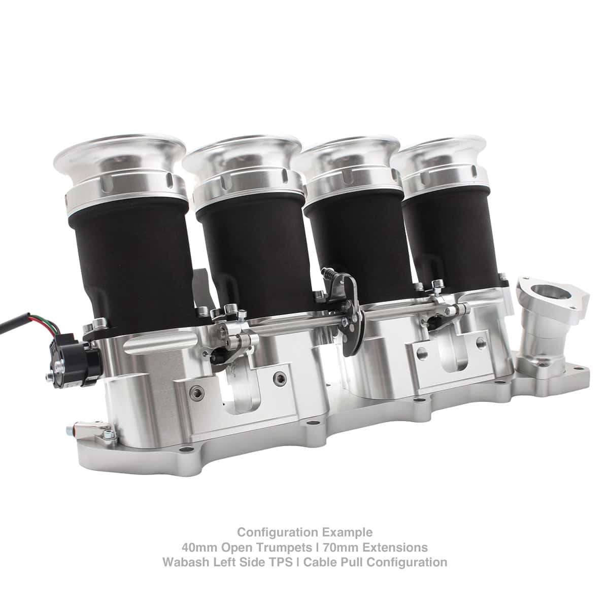 Customise Honda F20C 52 mm Direct‑to‑Head Throttle Bodies for S2000 - After Market Fuel Rail