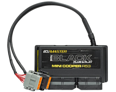 ECU Master ECU Mini R53