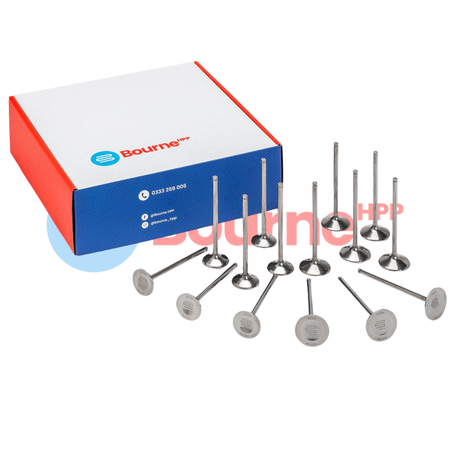 Honda K20 / K24 Bourne HPP Valve Set