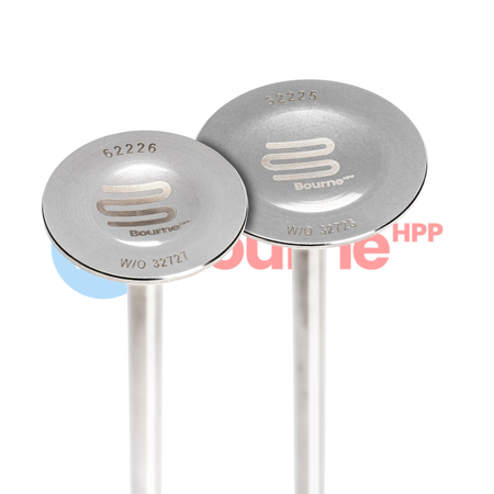 Honda K20 K24 Bourne HPP Inlet and Exhaust Valves