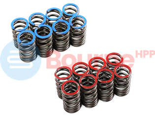Bourne HPP Valves & Spring Set Honda S2000 F20C
