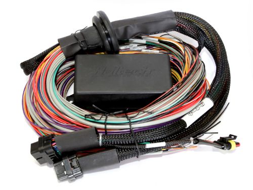 Haltech Elite 2500 wire-in harness, 3-meter length, universal wiring harness for engine management systems, black cables shown.