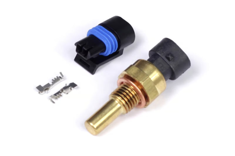 Haltech coolant temperature sensor with small M12 x 1.5 thread, designed for accurate engine temperature measurement.