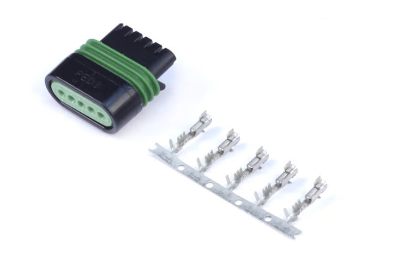 Haltech ignition plugs and pins for Ignition-1A IGBT coil with ignitionator, automotive accessories, close-up of electrical connectors