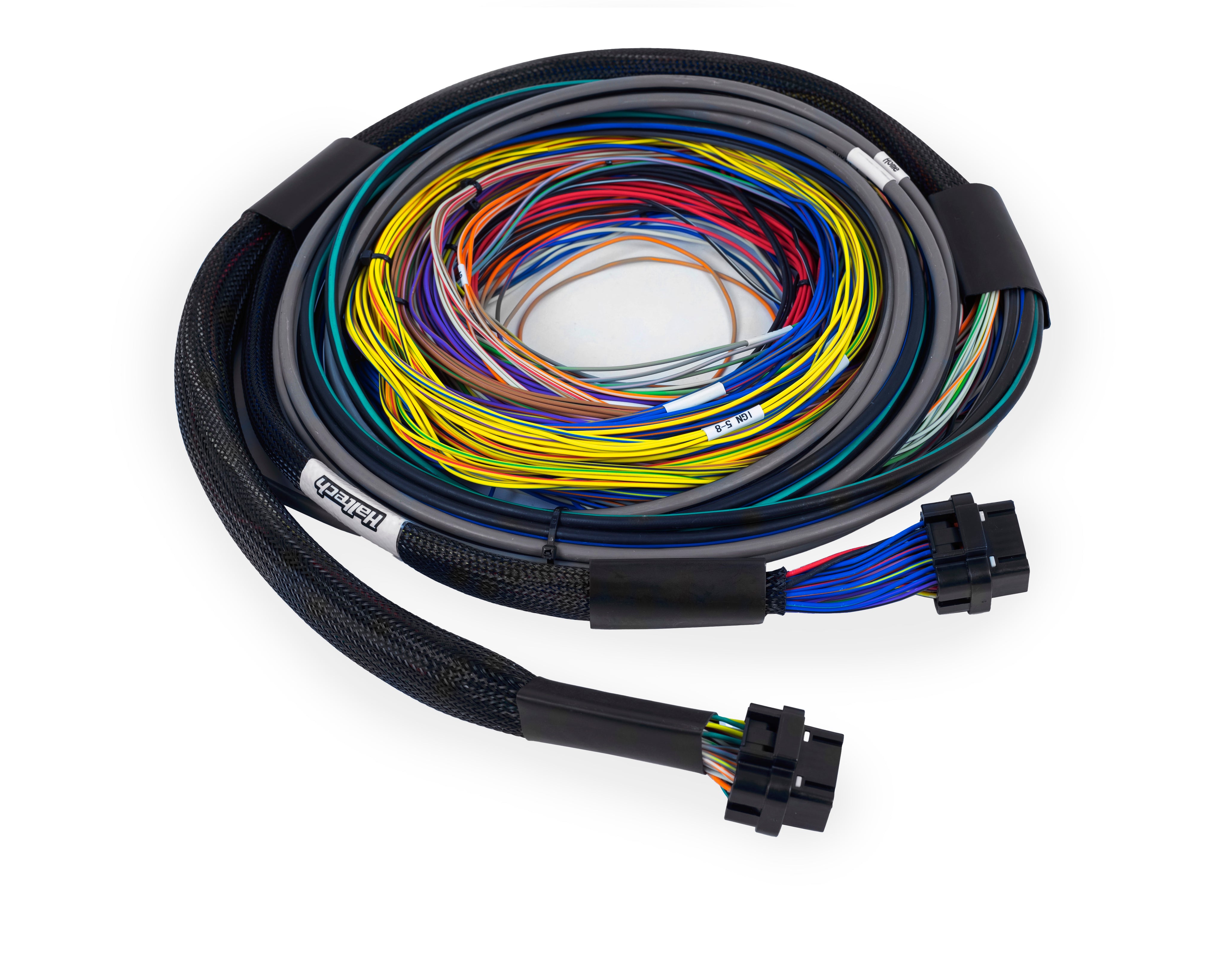 Haltech Nexus S3/S2 universal wire-in harness, 2.5 meters long, with multiple connectors for automotive wiring installation.
