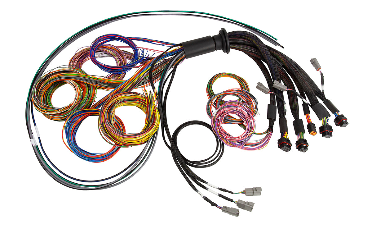 Haltech Nexus R5 universal wiring harness, 5-meter length, with multiple wires and connectors for vehicle wiring installation.