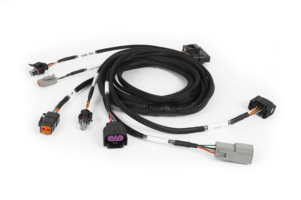Haltech Nexus plug-in DBW expansion harness, 2.5m wiring for automotive engine control systems, with connectors and wiring details.