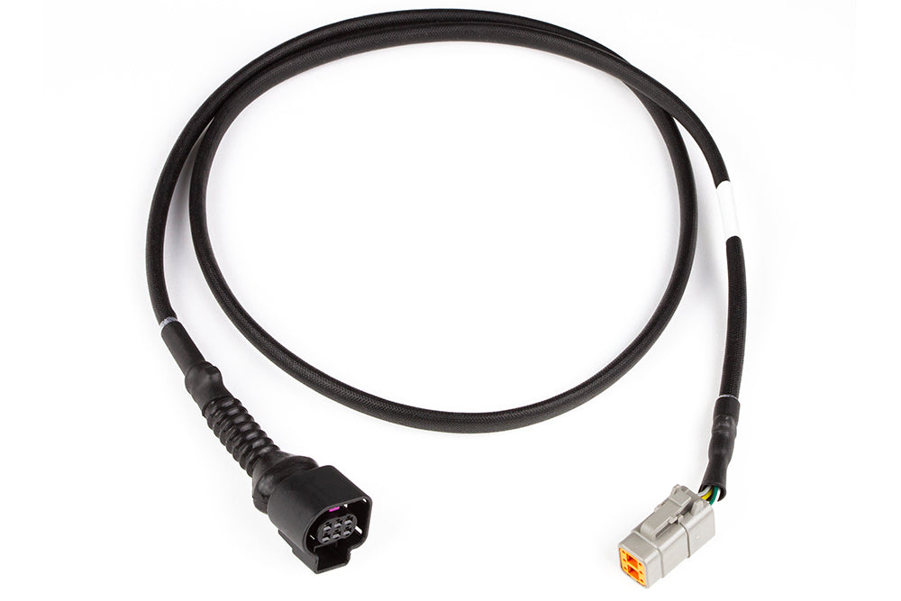 Haltech LSU4.9 wideband adaptor harness for LSU4.9 to DTM6 wiring, featuring multiple connectors and wiring components.