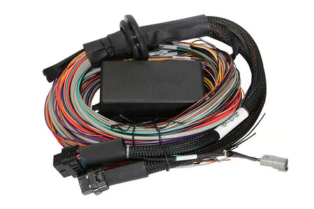 Haltech Elite 1500 universal wire-in harness kit with 2.5m length, featuring multiple connectors and wiring for engine tuning.
