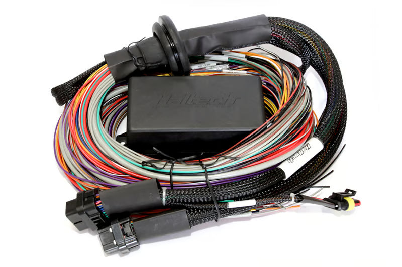 Haltech Elite 2500 universal engine management ECU with 2.5m premium wire-in harness kit, detailed view of the electronic components.