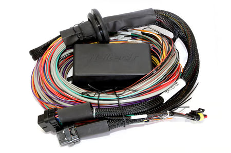 Haltech Elite 2500 universal engine management ECU with 2.5m premium wire-in harness kit, detailed view of the electronic components.